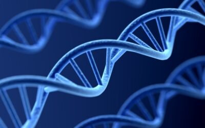 Genetic testing in Miami: Discover what your DNA says about your health