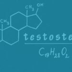 Testosterone and L-Arginine: Benefits, Evidence, Safety & When to Get Tested
